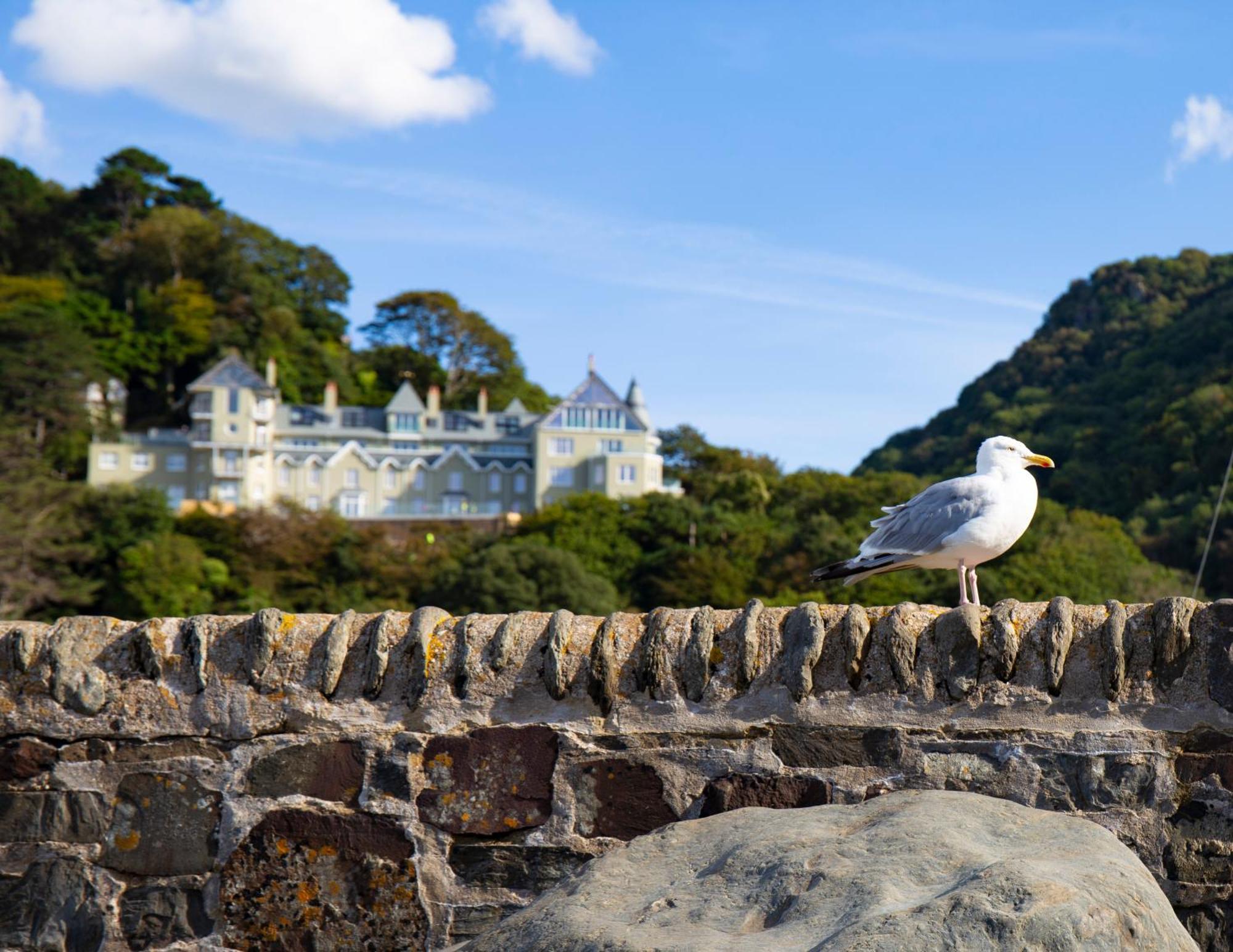 Tors Park Appartement Lynmouth Buitenkant foto