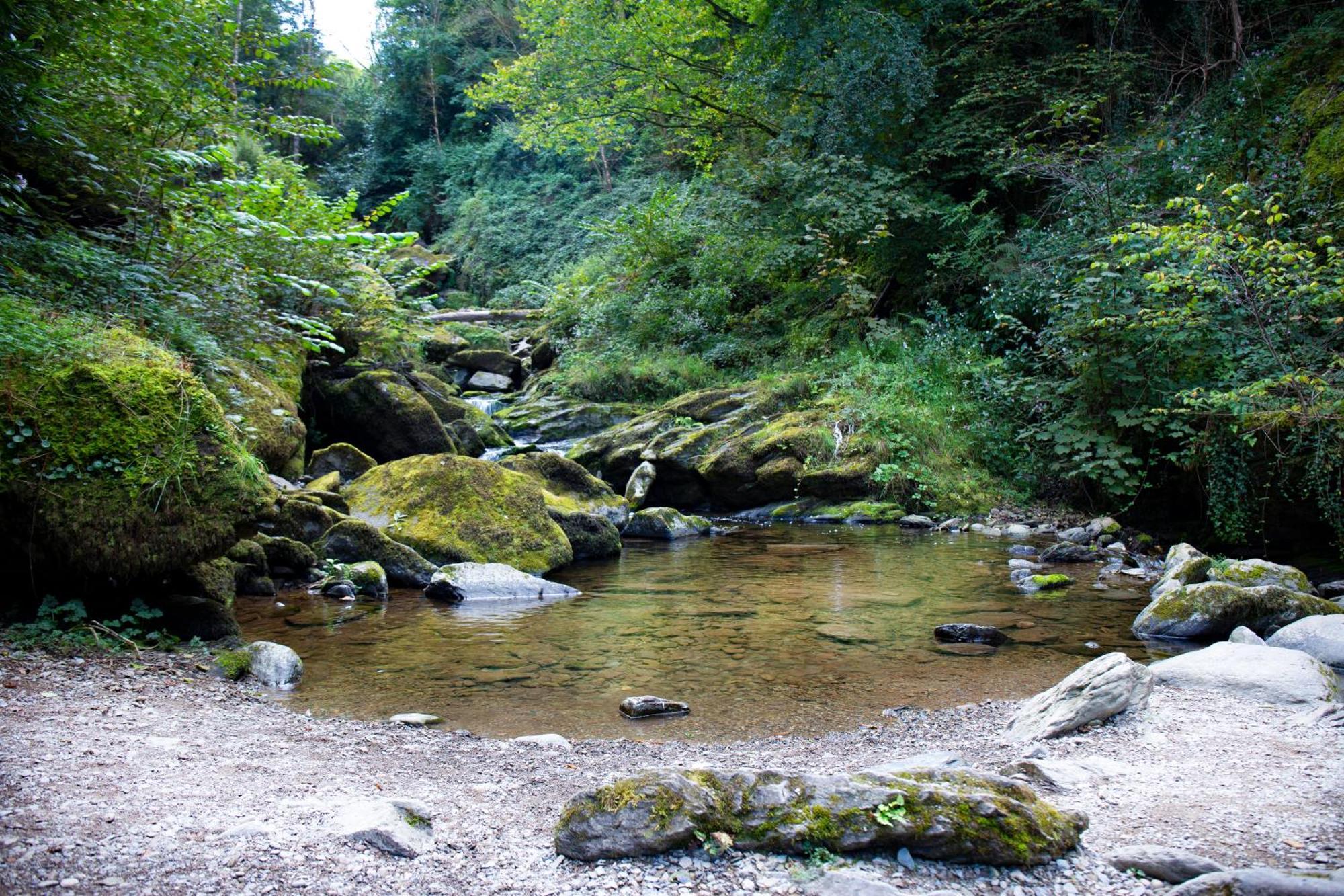 Tors Park Appartement Lynmouth Buitenkant foto